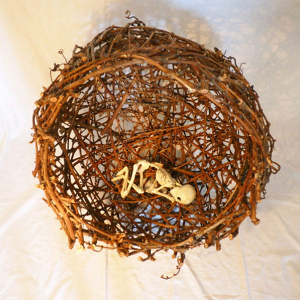 A nest - birth of death